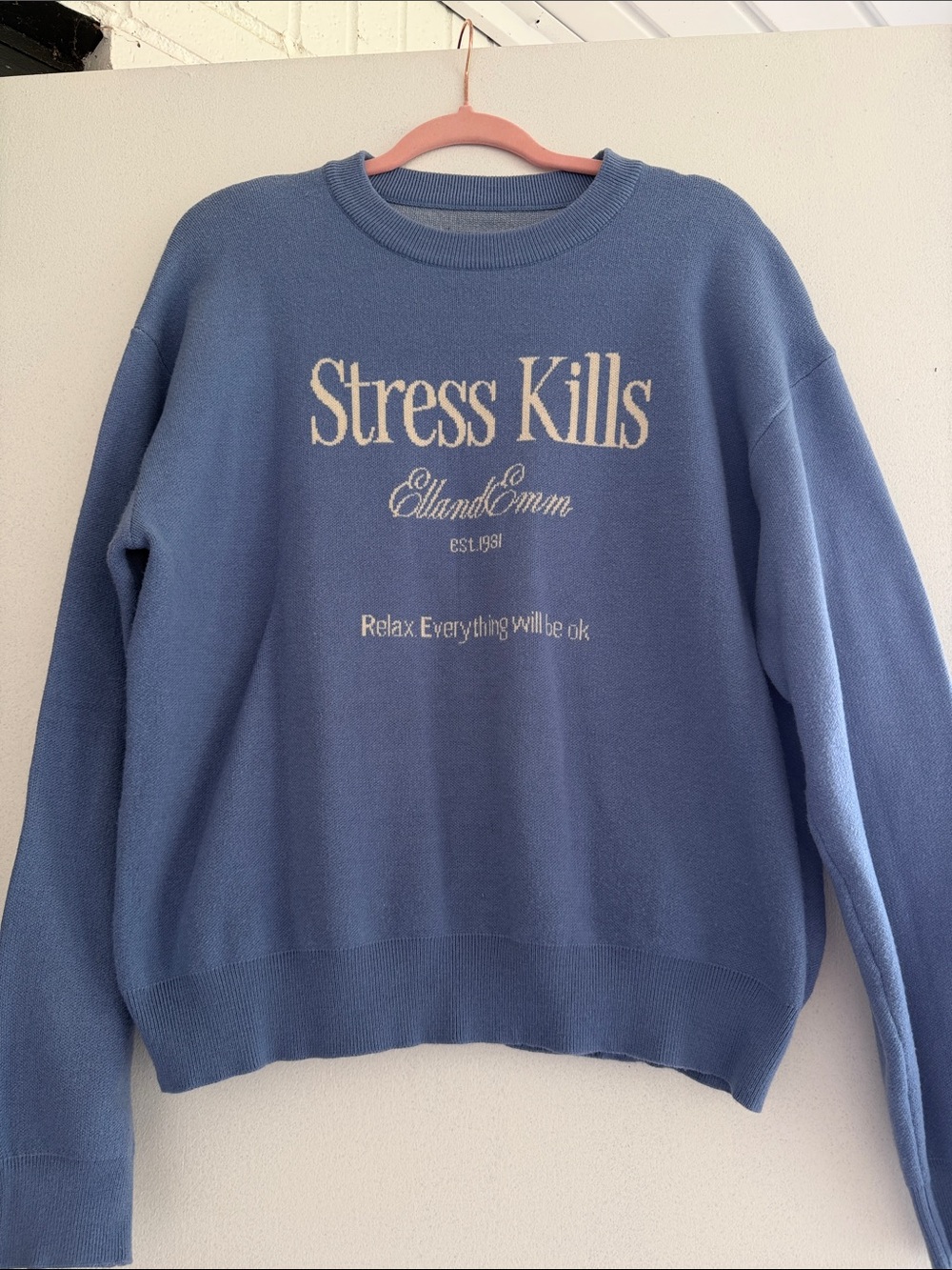 Stress Kills Graphic Sweatshirt in Light Blue with Cream Lettering